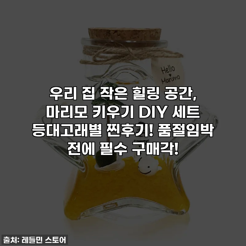 우리 집 작은 힐링 공간, 마리모 키우기 DIY 세트 등대고래별 찐후기! 품절임박 전에 필수 구매각!