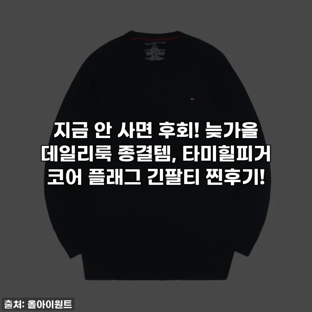 지금 안 사면 후회! 늦가을 데일리룩 종결템, 타미힐피거 코어 플래그 긴팔티 찐후기!