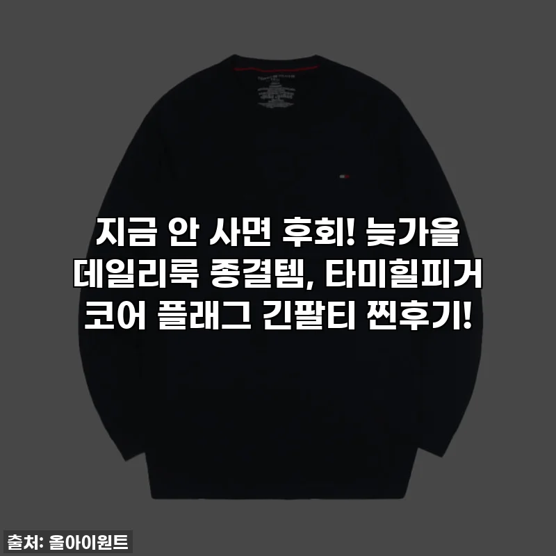 지금 안 사면 후회! 늦가을 데일리룩 종결템, 타미힐피거 코어 플래그 긴팔티 찐후기!