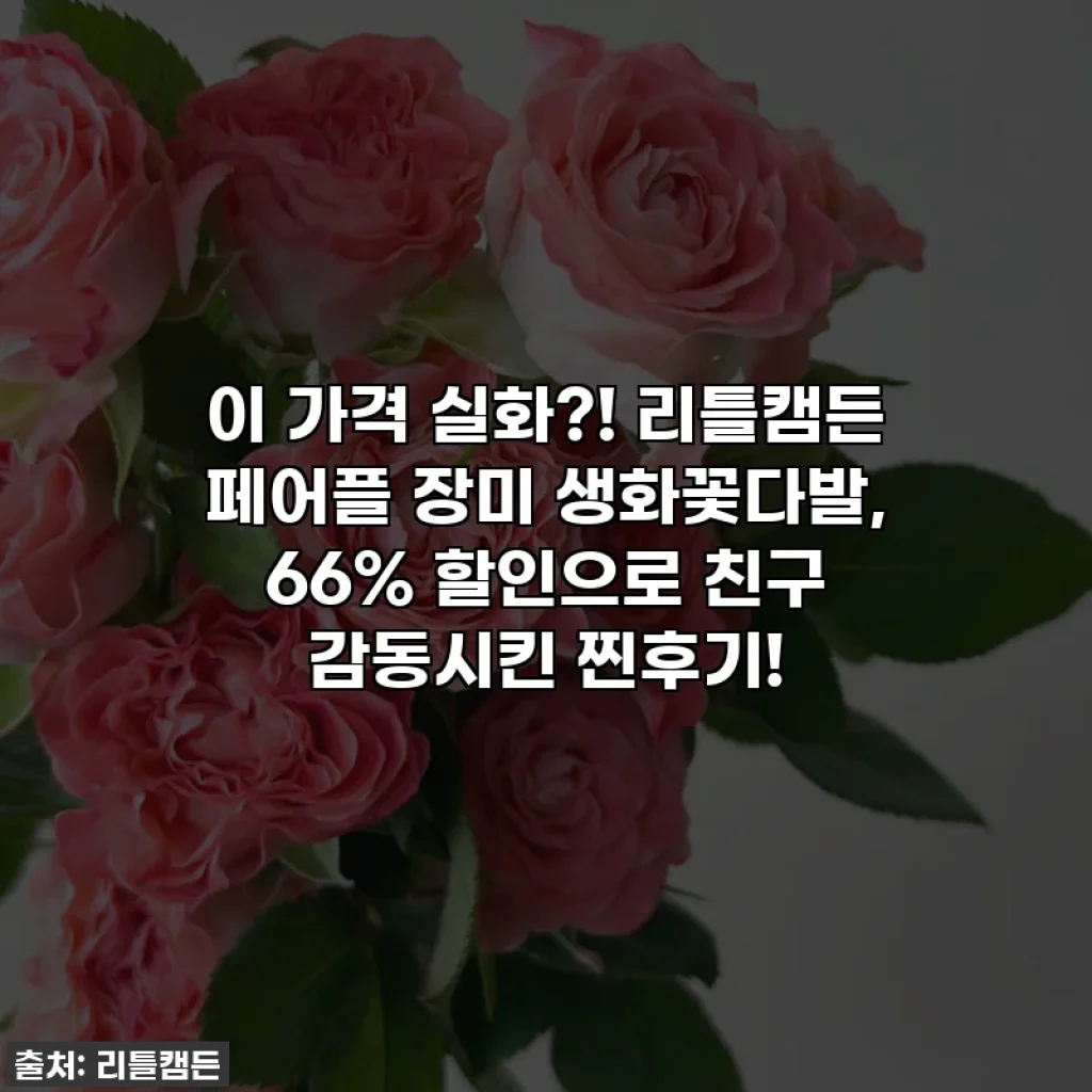 이 가격 실화?! 리틀캠든 페어플 장미 생화꽃다발, 66% 할인으로 친구 감동시킨 찐후기!