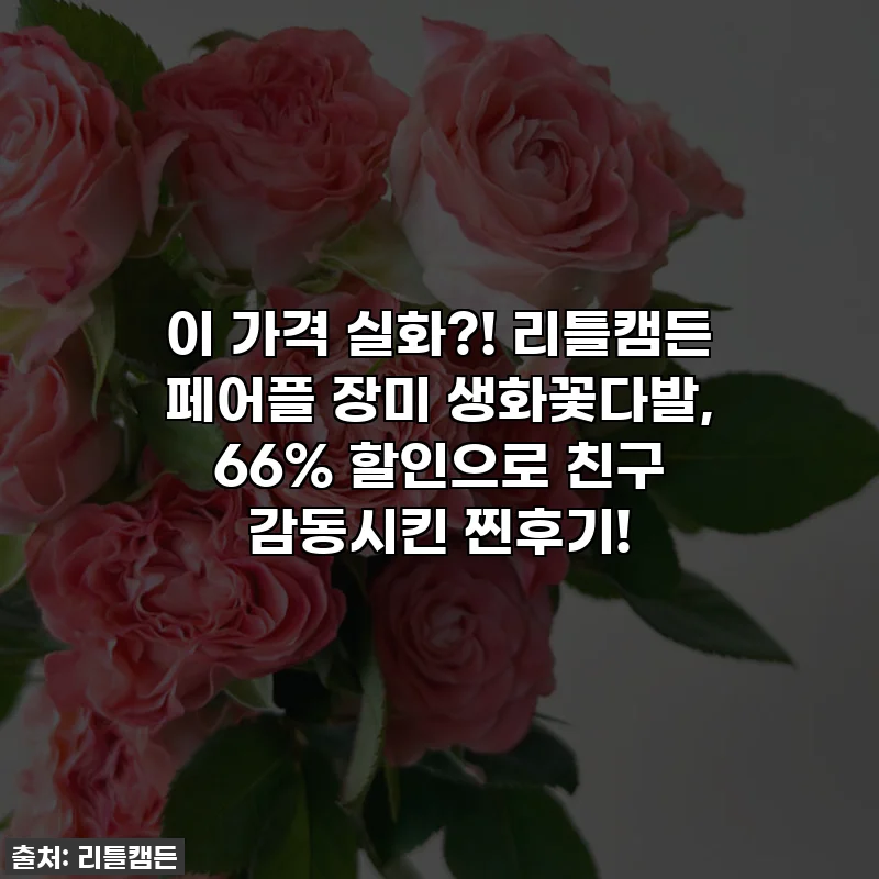 이 가격 실화?! 리틀캠든 페어플 장미 생화꽃다발, 66% 할인으로 친구 감동시킨 찐후기!