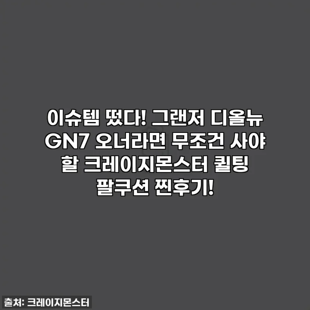 이슈템 떴다! 그랜저 디올뉴 GN7 오너라면 무조건 사야 할 크레이지몬스터 퀼팅 팔쿠션 찐후기!