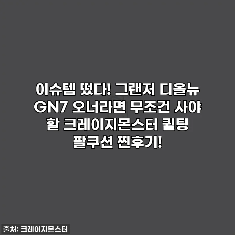 이슈템 떴다! 그랜저 디올뉴 GN7 오너라면 무조건 사야 할 크레이지몬스터 퀼팅 팔쿠션 찐후기!