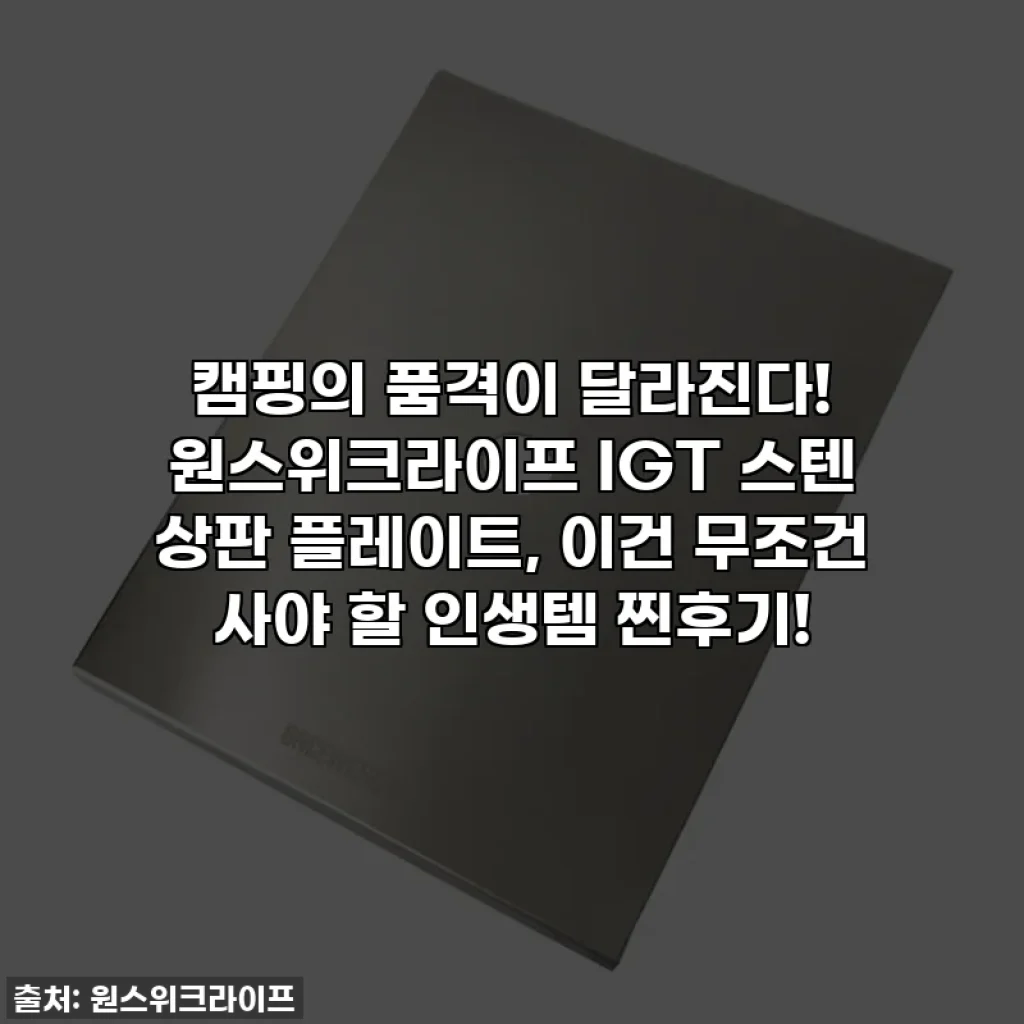 캠핑의 품격이 달라진다! 원스위크라이프 IGT 스텐 상판 플레이트, 이건 무조건 사야 할 인생템 찐후기!