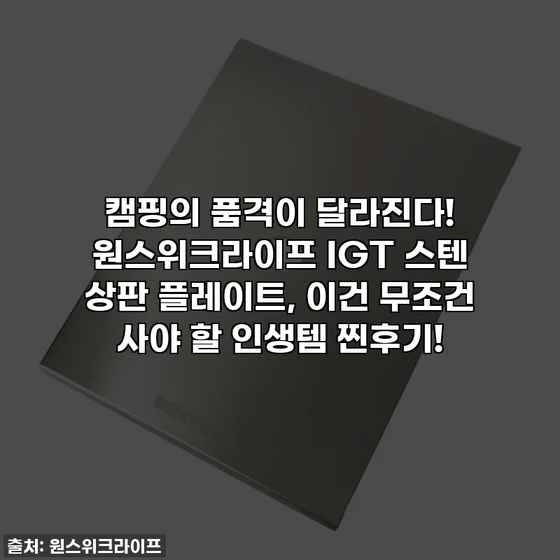 캠핑의 품격이 달라진다! 원스위크라이프 IGT 스텐 상판 플레이트, 이건 무조건 사야 할 인생템 찐후기!