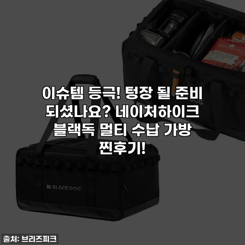 이슈템 등극! 텅장 될 준비 되셨나요? 네이처하이크 블랙독 멀티 수납 가방 찐후기!