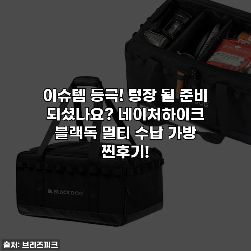 이슈템 등극! 텅장 될 준비 되셨나요? 네이처하이크 블랙독 멀티 수납 가방 찐후기!