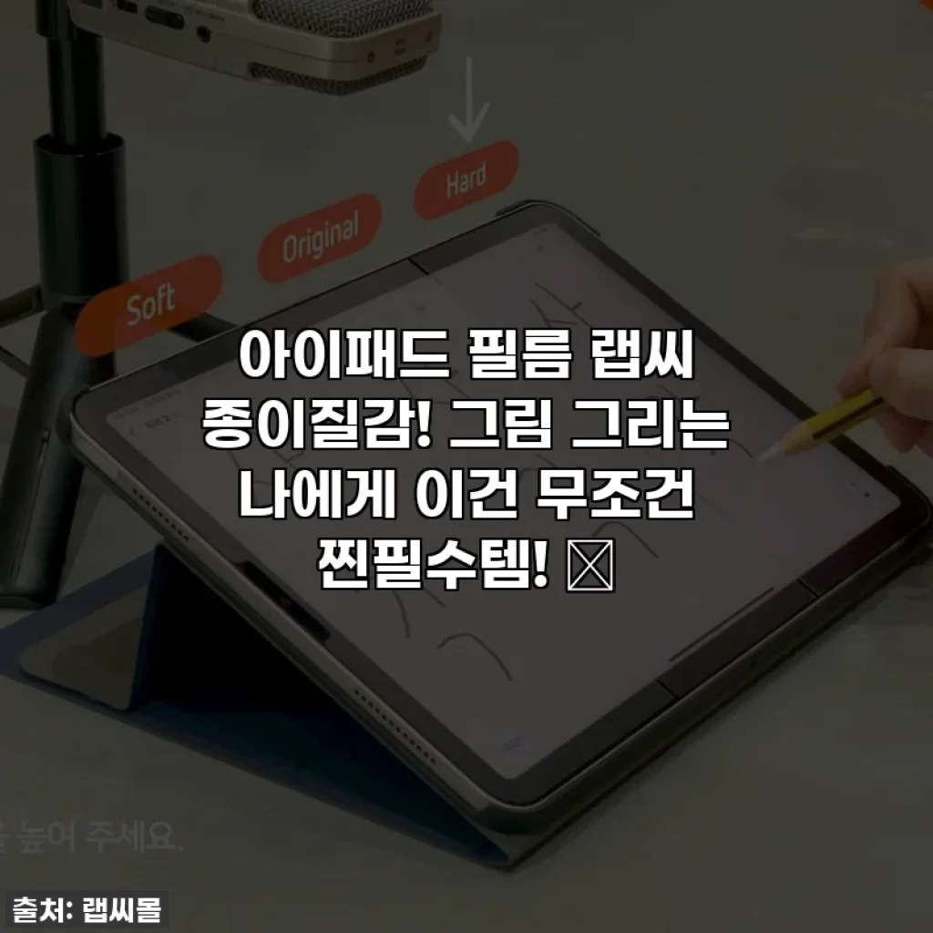 아이패드 필름 랩씨 종이질감! 그림 그리는 나에게 이건 무조건 찐필수템! ✨