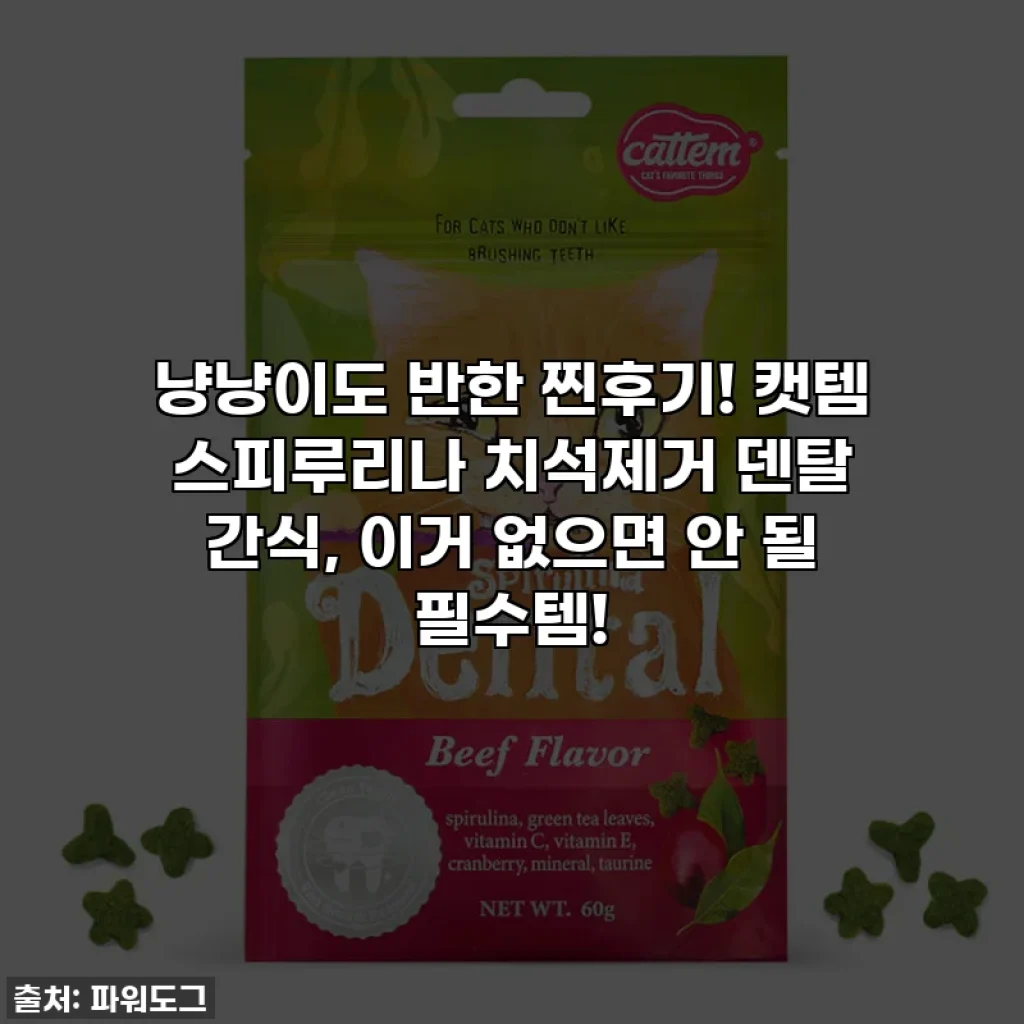 냥냥이도 반한 찐후기! 캣템 스피루리나 치석제거 덴탈 간식, 이거 없으면 안 될 필수템!
