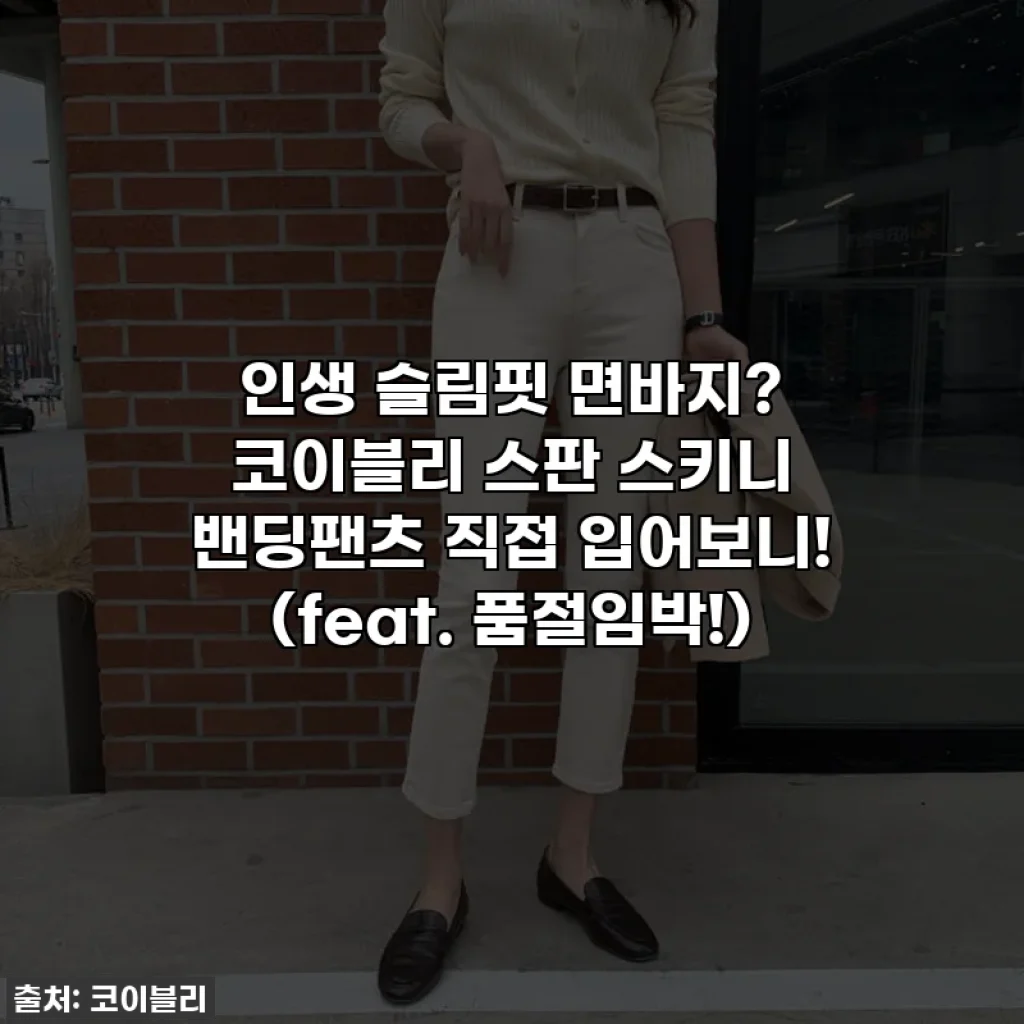 인생 슬림핏 면바지? 코이블리 스판 스키니 밴딩팬츠 직접 입어보니! (feat. 품절임박!)