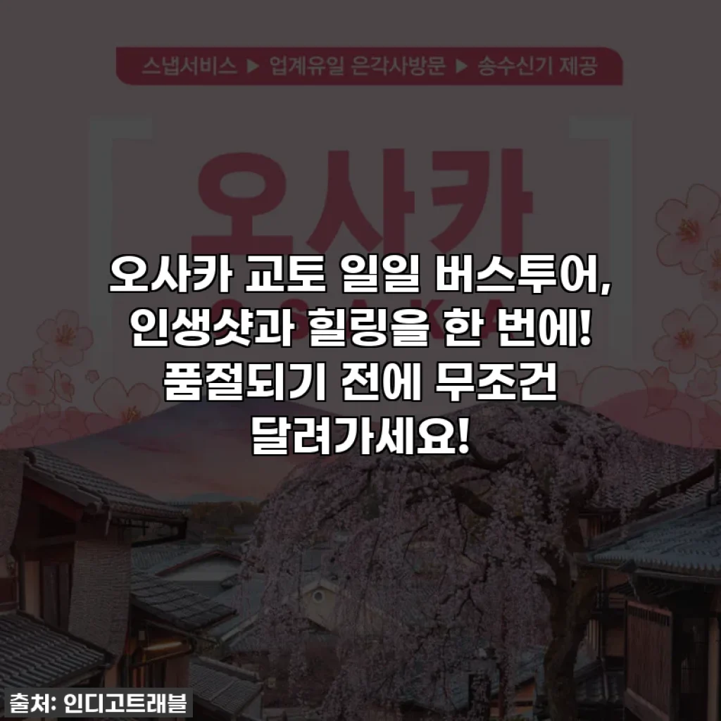 오사카 교토 일일 버스투어, 인생샷과 힐링을 한 번에! 품절되기 전에 무조건 달려가세요!