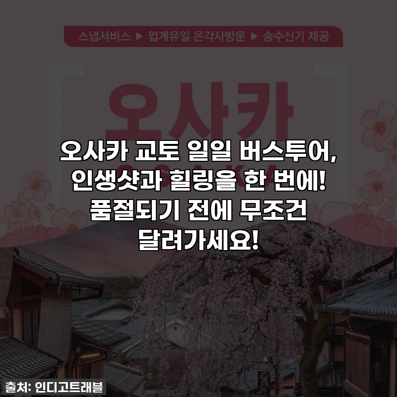 오사카 교토 일일 버스투어, 인생샷과 힐링을 한 번에! 품절되기 전에 무조건 달려가세요!