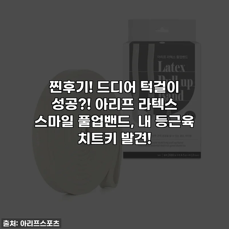 찐후기! 드디어 턱걸이 성공?! 아리프 라텍스 스마일 풀업밴드, 내 등근육 치트키 발견!