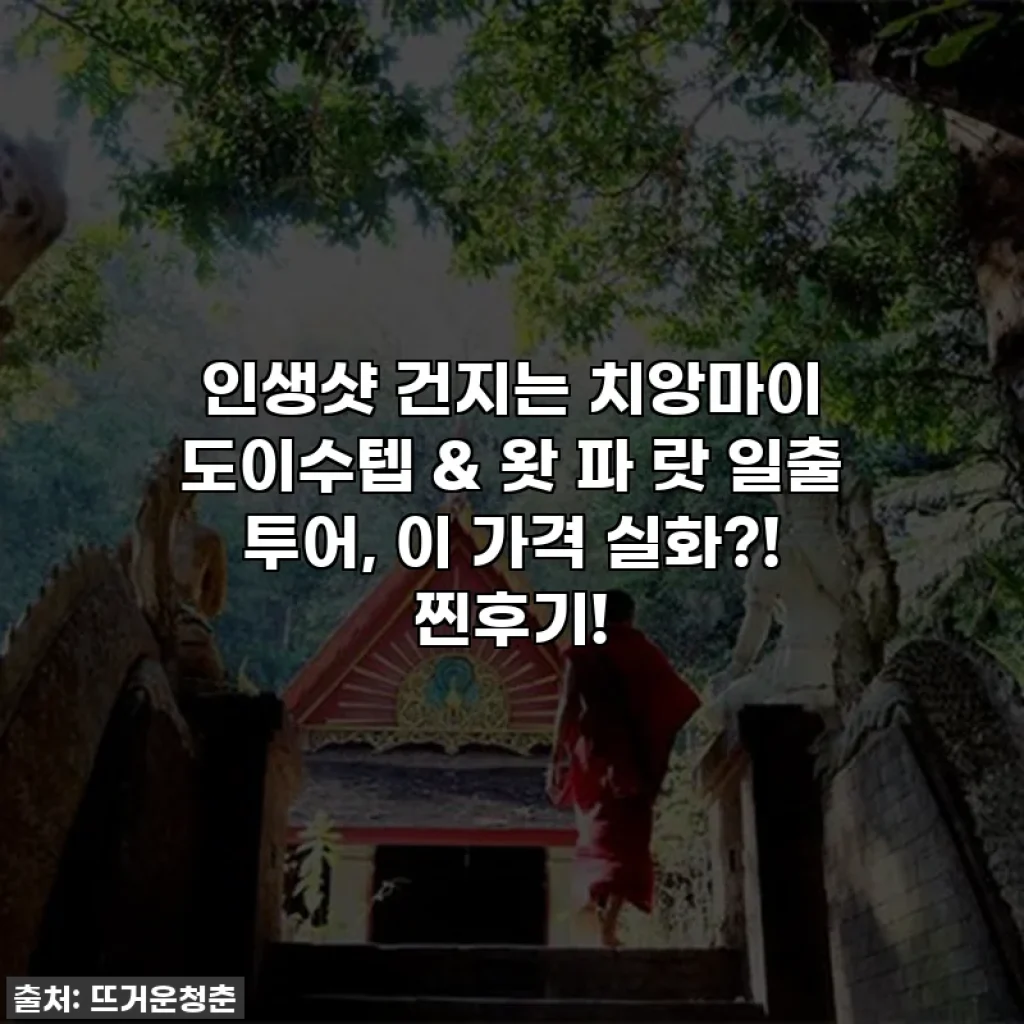 인생샷 건지는 치앙마이 도이수텝 & 왓 파 랏 일출 투어, 이 가격 실화?! 찐후기!