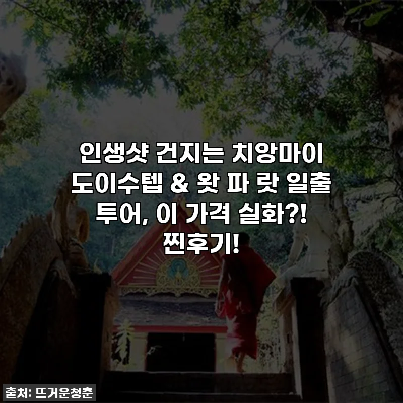 인생샷 건지는 치앙마이 도이수텝 & 왓 파 랏 일출 투어, 이 가격 실화?! 찐후기!