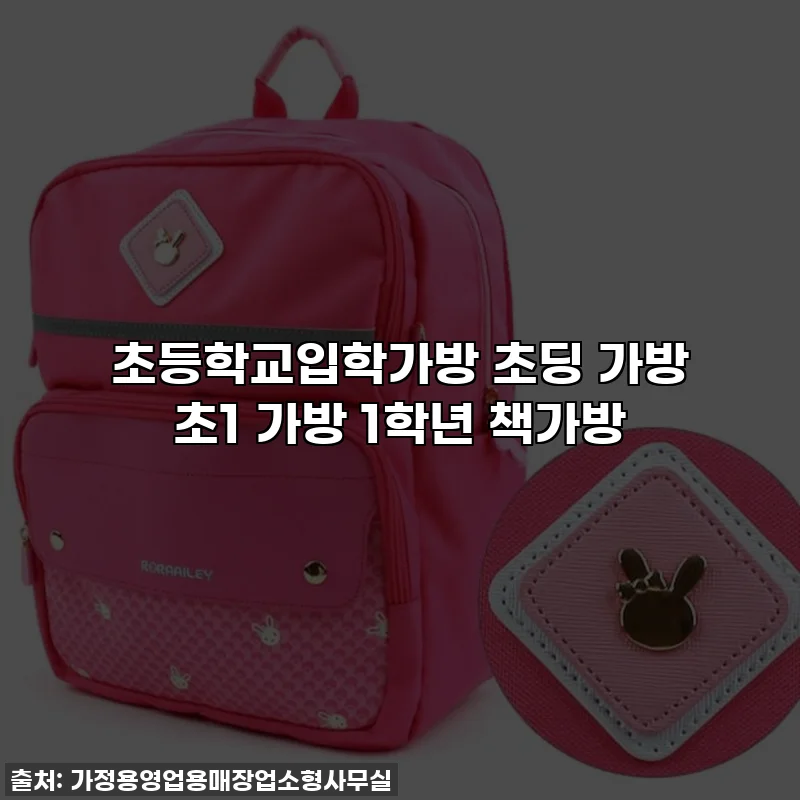 초등학교입학가방 초딩 가방 초1 가방 1학년 책가방