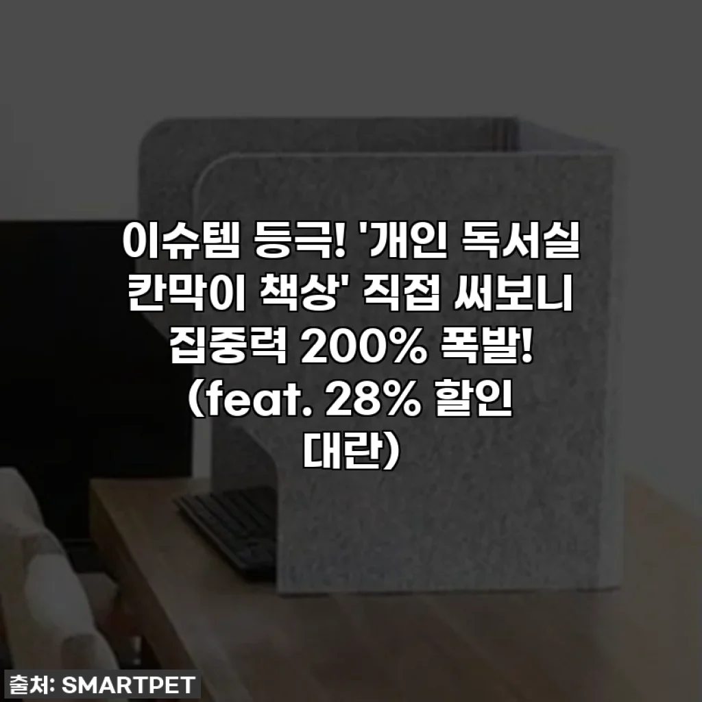 이슈템 등극! '개인 독서실 칸막이 책상' 직접 써보니 집중력 200% 폭발! (feat. 28% 할인 대란)