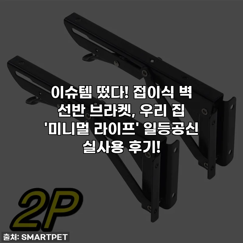 이슈템 떴다! 접이식 벽 선반 브라켓, 우리 집 '미니멀 라이프' 일등공신 실사용 후기!