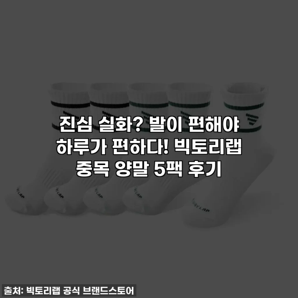 진심 실화? 발이 편해야 하루가 편하다! 빅토리랩 중목 양말 5팩 후기