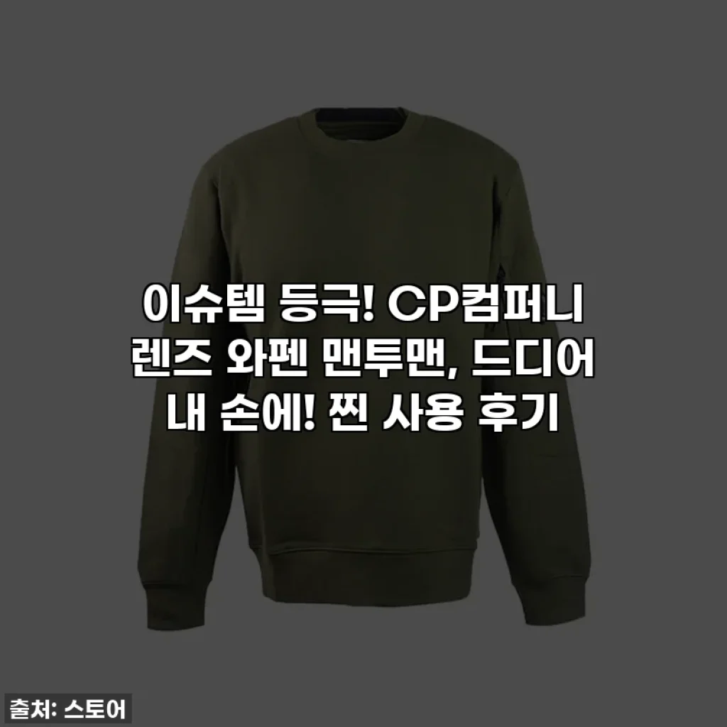 이슈템 등극! CP컴퍼니 렌즈 와펜 맨투맨, 드디어 내 손에! 찐 사용 후기