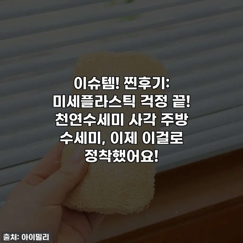이슈템! 찐후기: 미세플라스틱 걱정 끝! 천연수세미 사각 주방 수세미, 이제 이걸로 정착했어요!