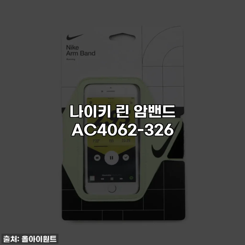 나이키 린 암밴드 AC4062-326