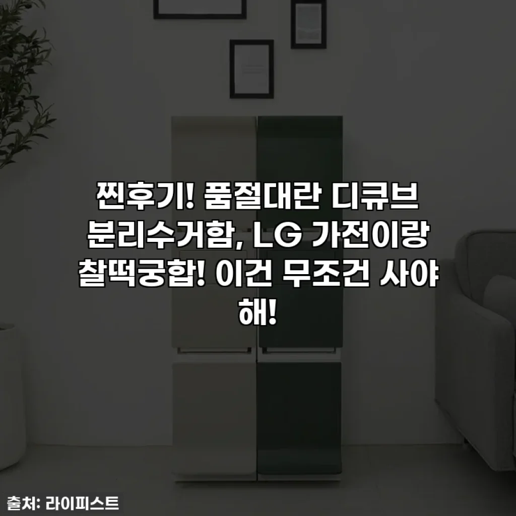 찐후기! 품절대란 디큐브 분리수거함, LG 가전이랑 찰떡궁합! 이건 무조건 사야 해!