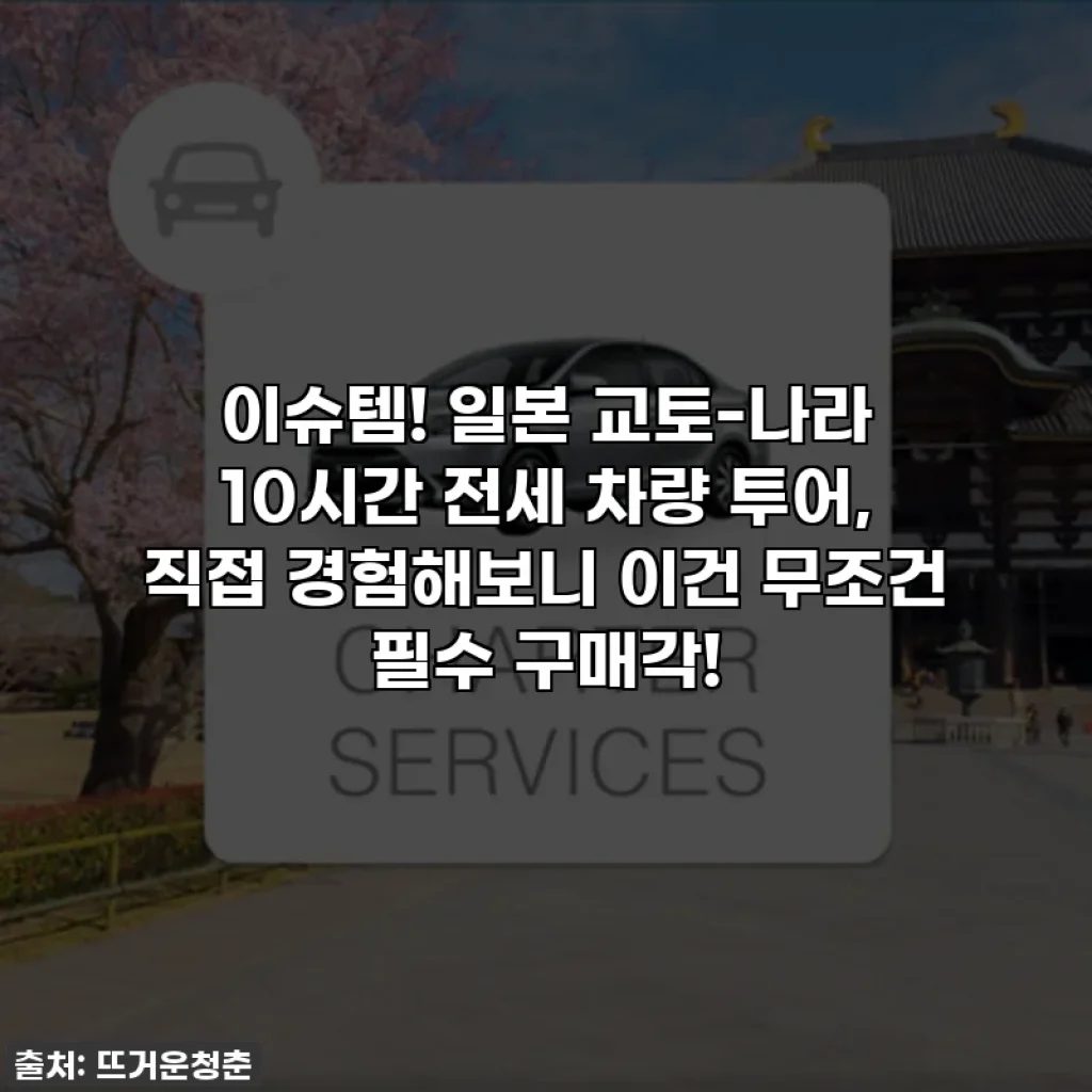 이슈템! 일본 교토-나라 10시간 전세 차량 투어, 직접 경험해보니 이건 무조건 필수 구매각!