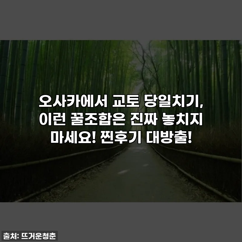 오사카에서 교토 당일치기, 이런 꿀조합은 진짜 놓치지 마세요! 찐후기 대방출!