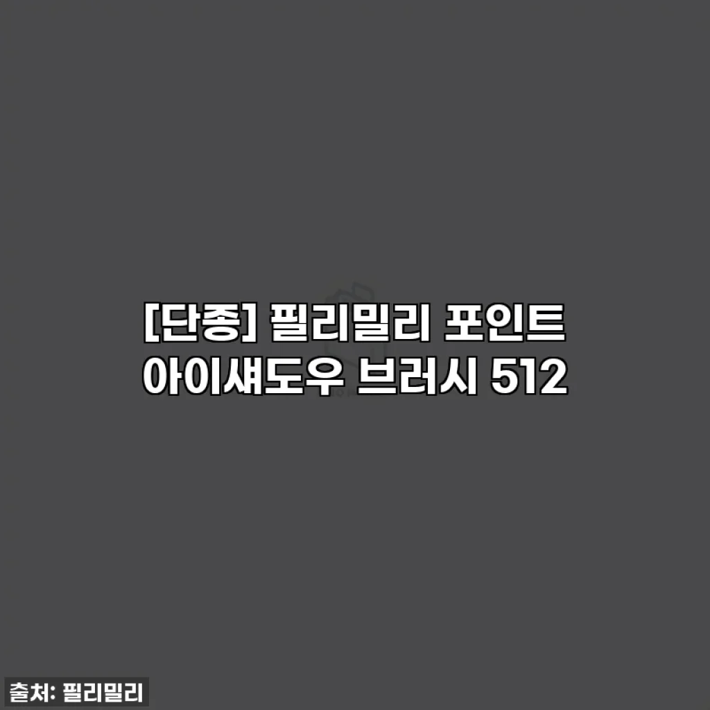 [단종] 필리밀리 포인트 아이섀도우 브러시 512