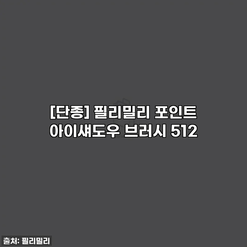 [단종] 필리밀리 포인트 아이섀도우 브러시 512