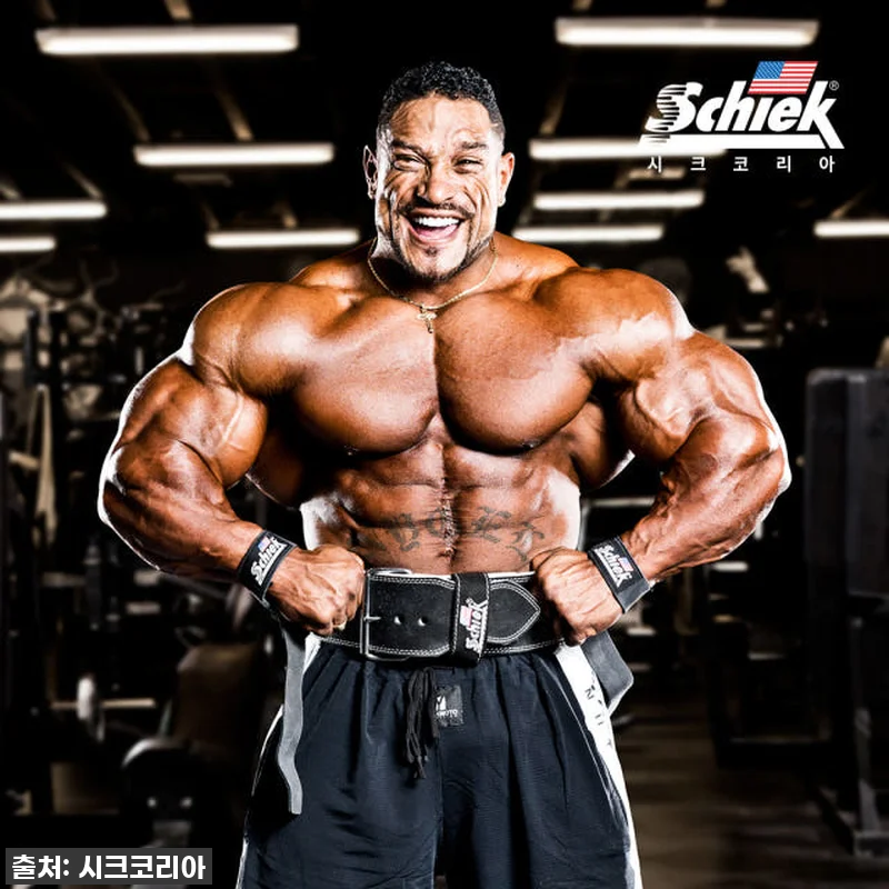 쉬크 1000LLS 가죽 리프팅 스트 관련 이미지 1