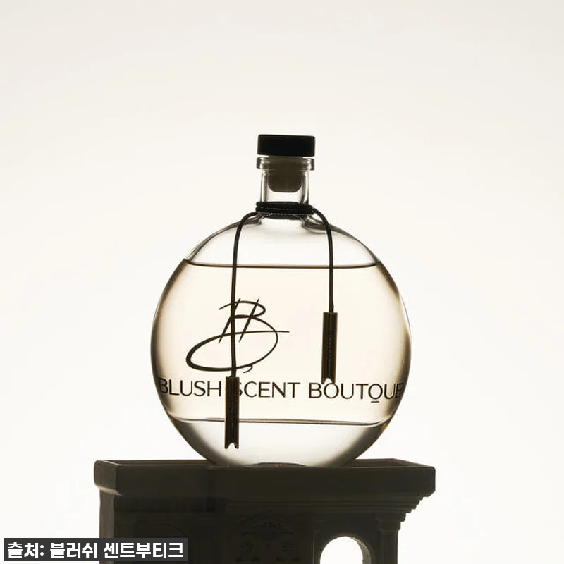 찐내돈내산! 품절임박 '편백 블러쉬 관련 이미지 1