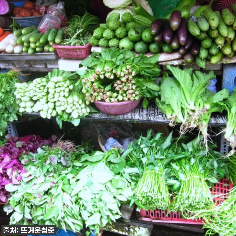 호치민 여행의 꽃! 베트남 요리 쿠킹 관련 이미지 1