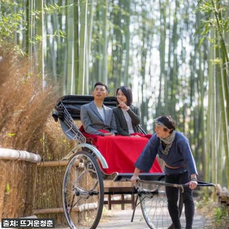 역대급 할인 놓치면 후회! 교토 아라 관련 이미지 1