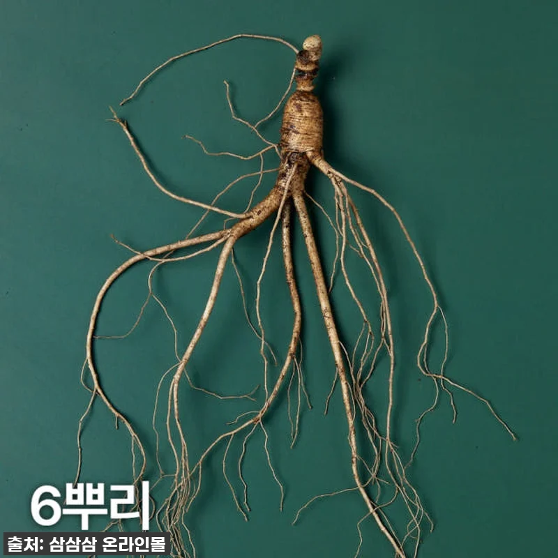 인생 활력 충전! 51% 폭탄 할인 관련 이미지 1