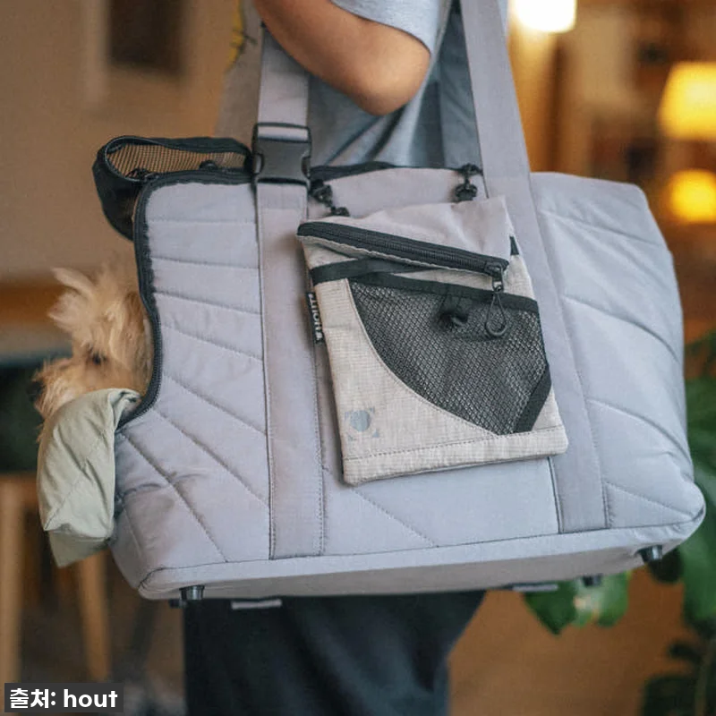 이동가방 유목민 주목! 🐶 하웃 에어 관련 이미지 1