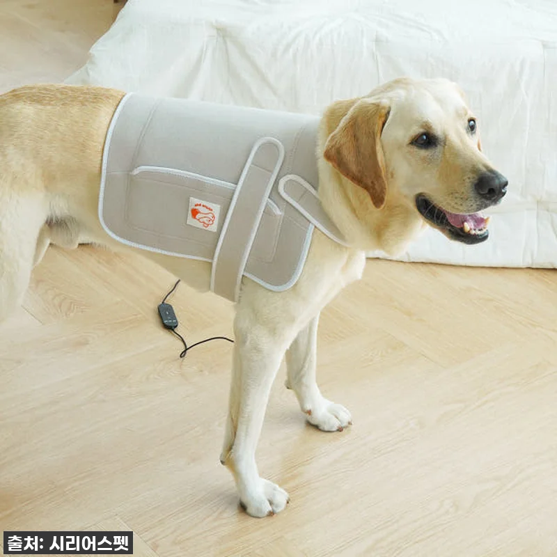 이건 진짜 물건! 시리어스펫 슬개골 관련 이미지 1