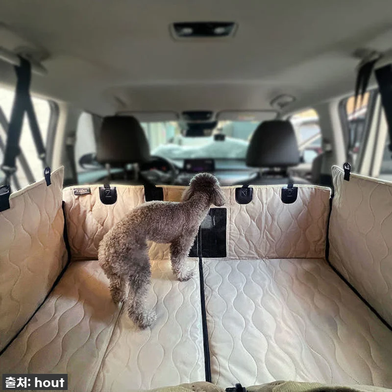 찐후기! 우리 댕댕이 전용! 하웃 강 관련 이미지 1