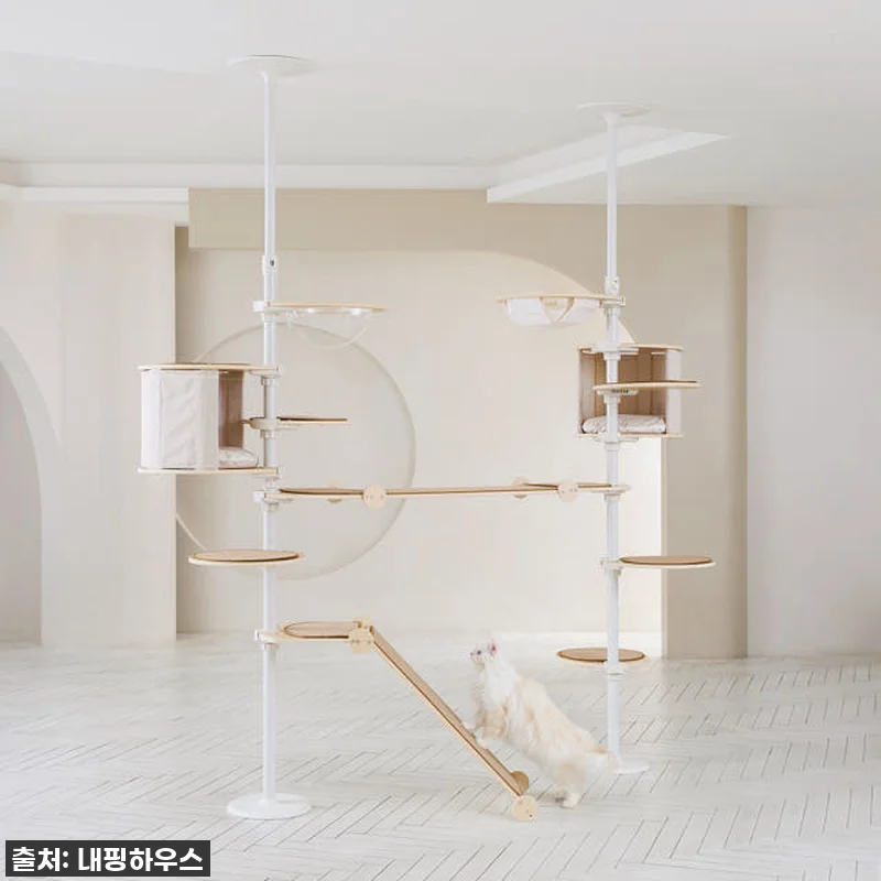 찐후기! 우리 집 냥이들을 위한 내핑 관련 이미지 1