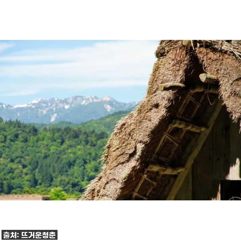 이 가격 실화?! ✨ 일본 가나자와 관련 이미지 1