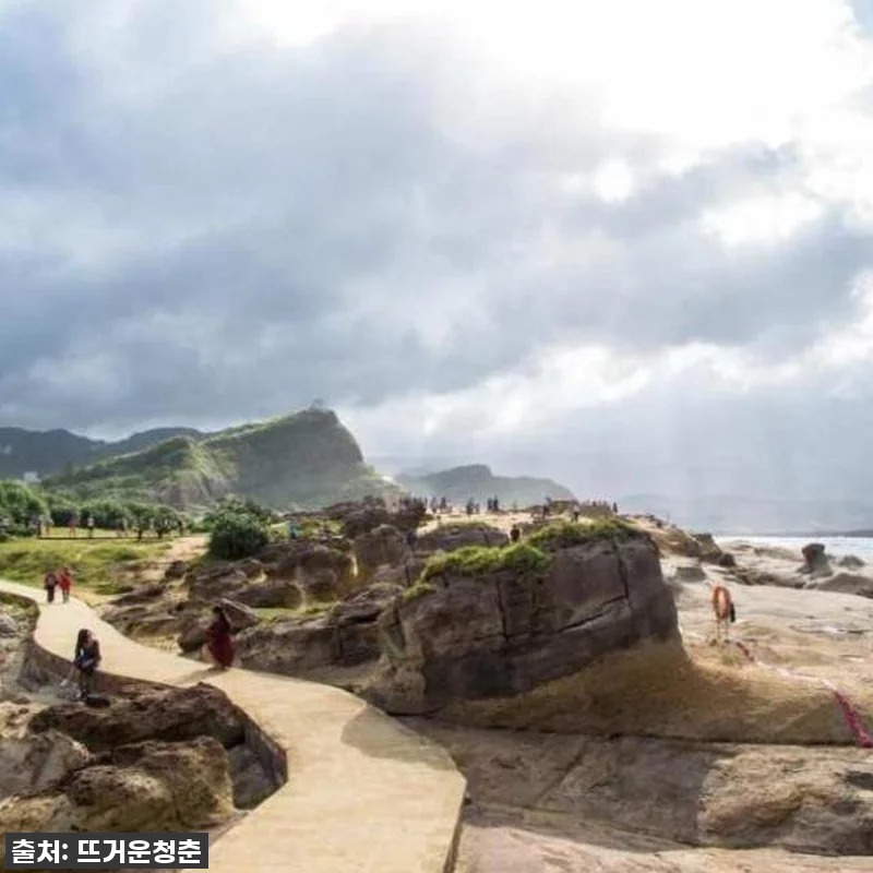 ⭐74% 대박 할인! 대만 예스진지 관련 이미지 2