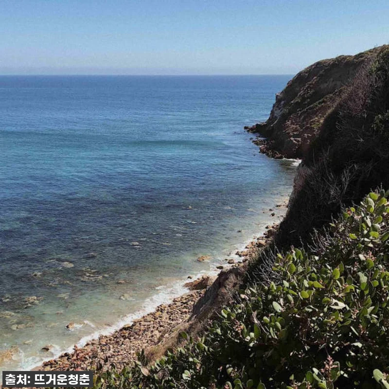 이 가격 실화?! LA 말리부 빈티지 관련 이미지 2