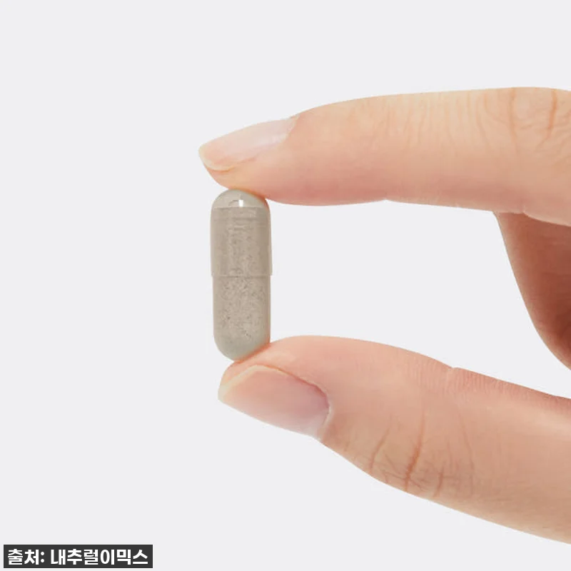 여성 갱년기 영양제 에스트로겐 (6개 관련 이미지 2