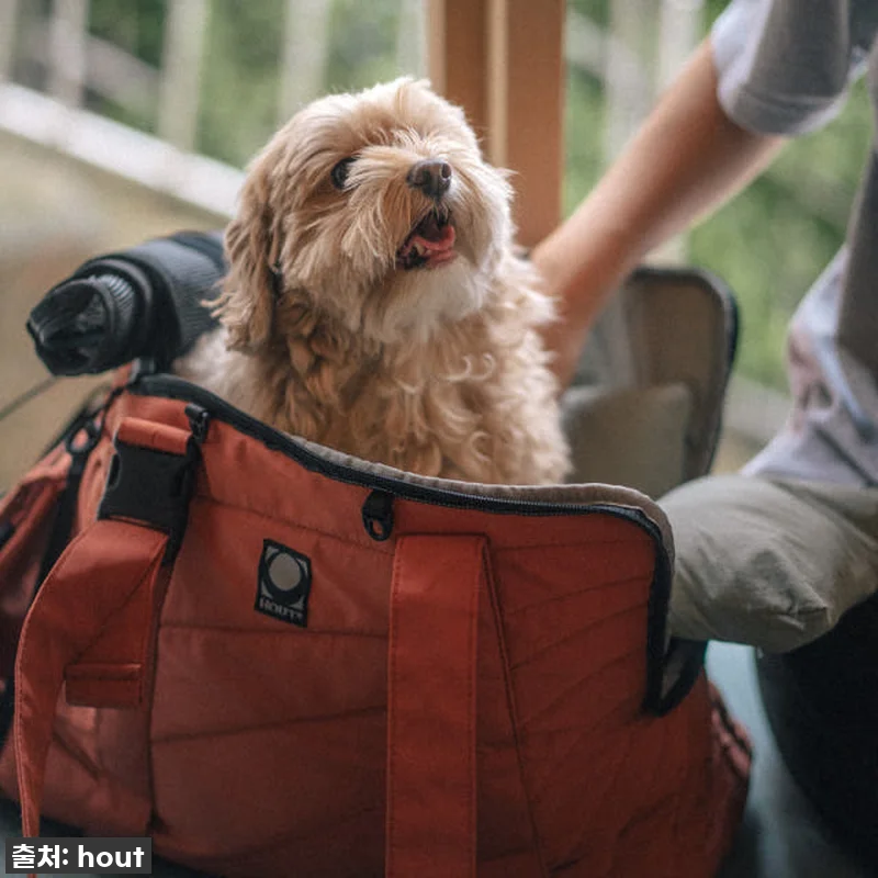 이동가방 유목민 주목! 🐶 하웃 에어 관련 이미지 2