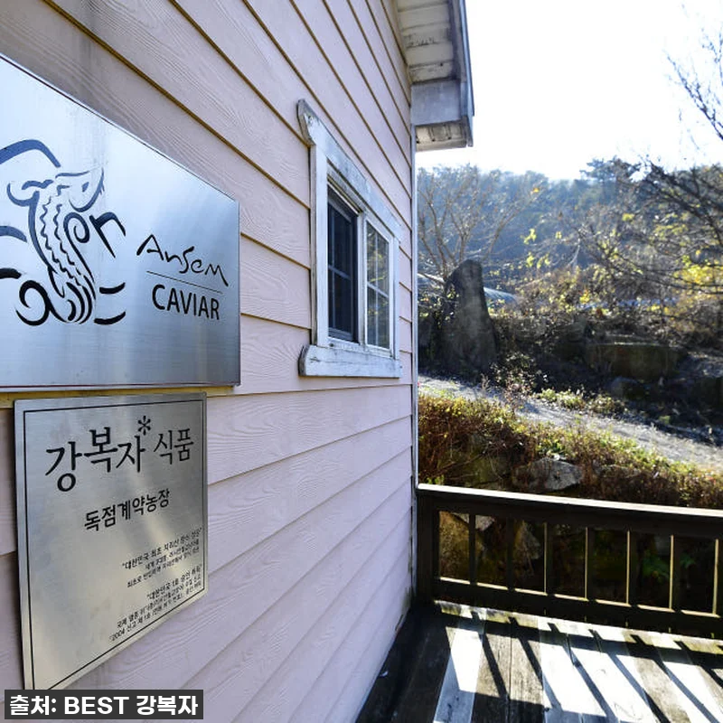 지친 엄마의 구세주! 철갑상어즙, 제 관련 이미지 2