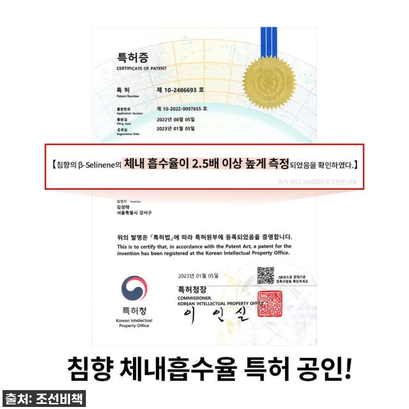 피로에 찌든 내 몸에 기적을! 조선황 관련 이미지 2