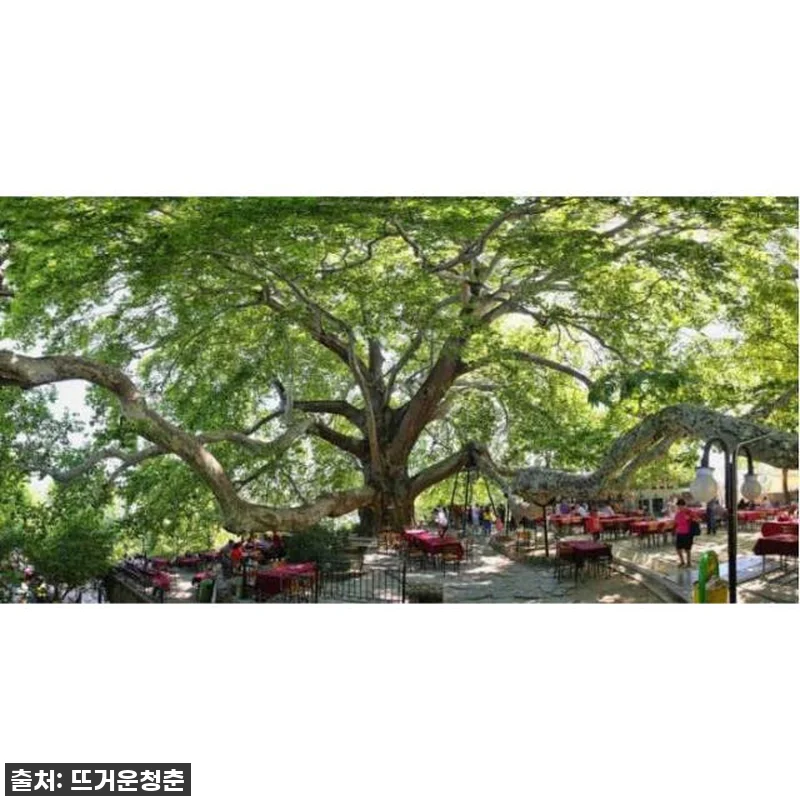 튀르키예 부르사, 프라이빗 가이드와 관련 이미지 2