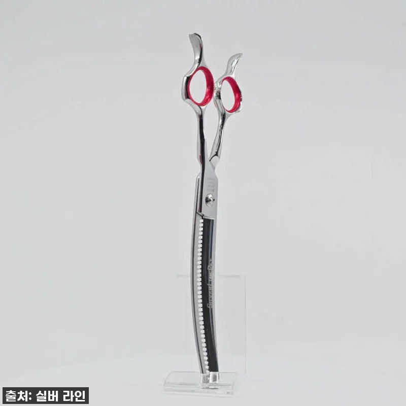 이젠 실패란 없다! 실버라인펫 강아지 관련 이미지 1