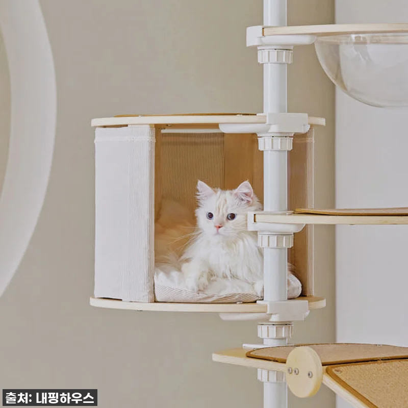 찐후기! 우리 집 냥이들을 위한 내핑 관련 이미지 2